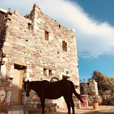 Maison d'hôtes Castle Rizaraki