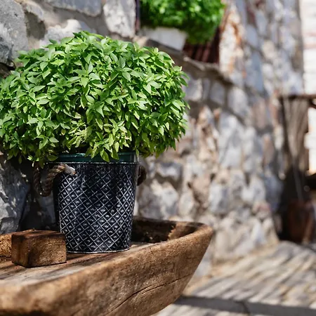 Gasthuis Castle Rizaraki 3*