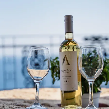 Gæstehus Castle Rizaraki