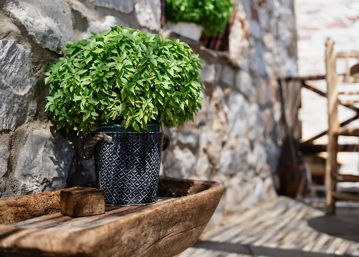 Gasthuis Castle Rizaraki 3*